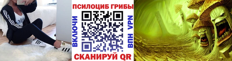 Купить закладки  Нефтеюганск  Псилоцибиновые грибы GOLDEN TEACHER 